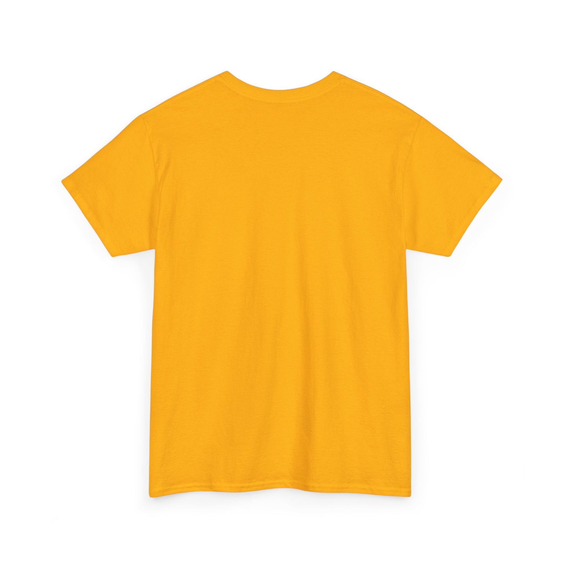 Classic Cotton Tee for Personalized Style, Unisex Heavyweight Shirt, Casual Fashion Staple, Comfortable Crewneck Tshirt,