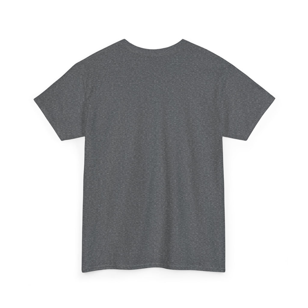 Classic Cotton Tee for Personalized Style, Unisex Heavyweight Shirt, Casual Fashion Staple, Comfortable Crewneck Tshirt,