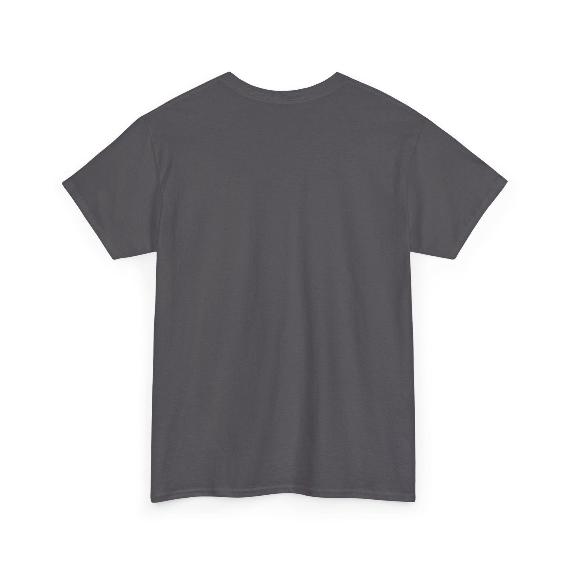 Classic Cotton Tee for Personalized Style, Unisex Heavyweight Shirt, Casual Fashion Staple, Comfortable Crewneck Tshirt,